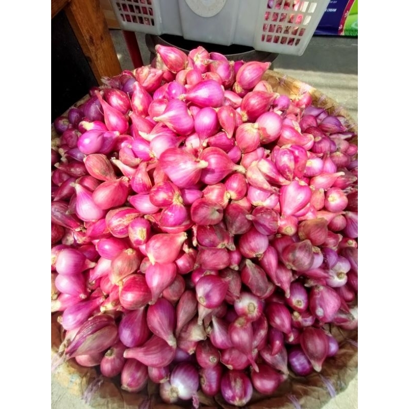 

Bawang Merah