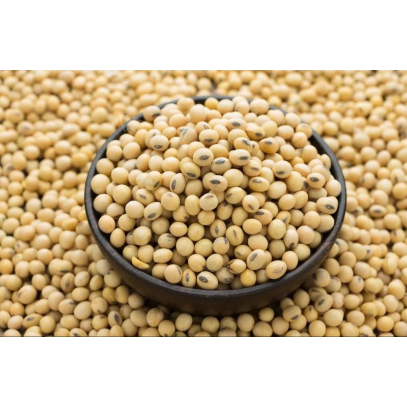 

Kacang Kedelai 250Gr