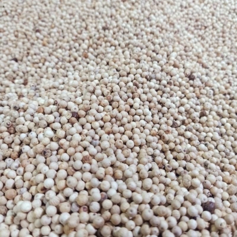 

Lada/merica putih premium 100gram