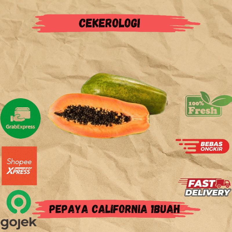 

Pepaya California 1buah / Pepaya California / Buah Pepaya California / Pepaya California Fresh Berkualitas / Buah Paya / Paya / JABODETABEK / Pepaya / Buah / Buah Buahan