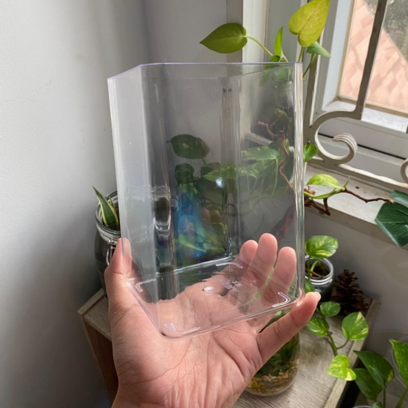 Solitaire Akrilik 2 Liter Ikan Cupang 11x11x17CM