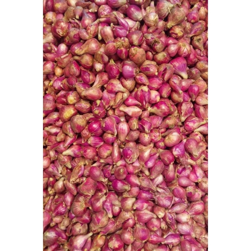 

Bawang Merah Brebes 1 kg