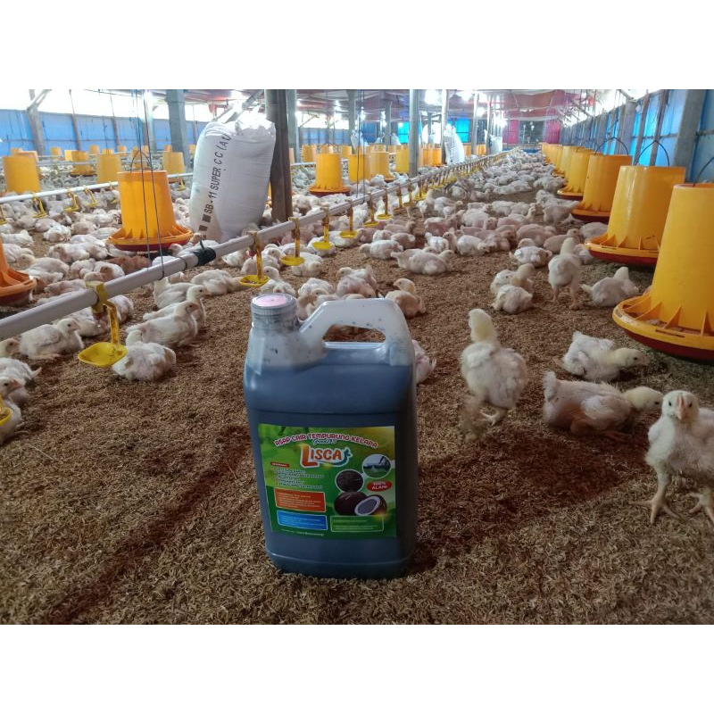 Lisca Anti Amoniak Desinfektan Kandang Penghilang Bau Kandang