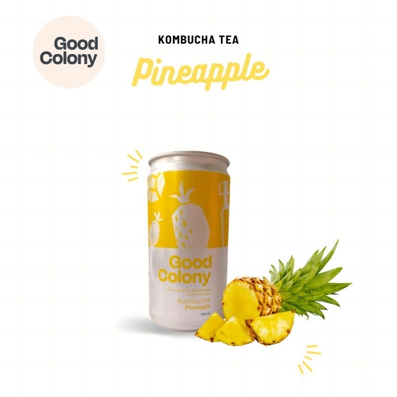 

Good Colony Kombucha Tea Kaleng 250ml minuman Probiotik