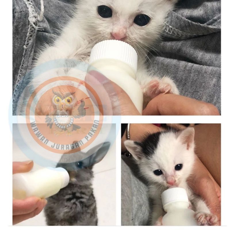 dot anak kucing / alat minum anakan kucing kelinci anjing dll / spet susu anakan