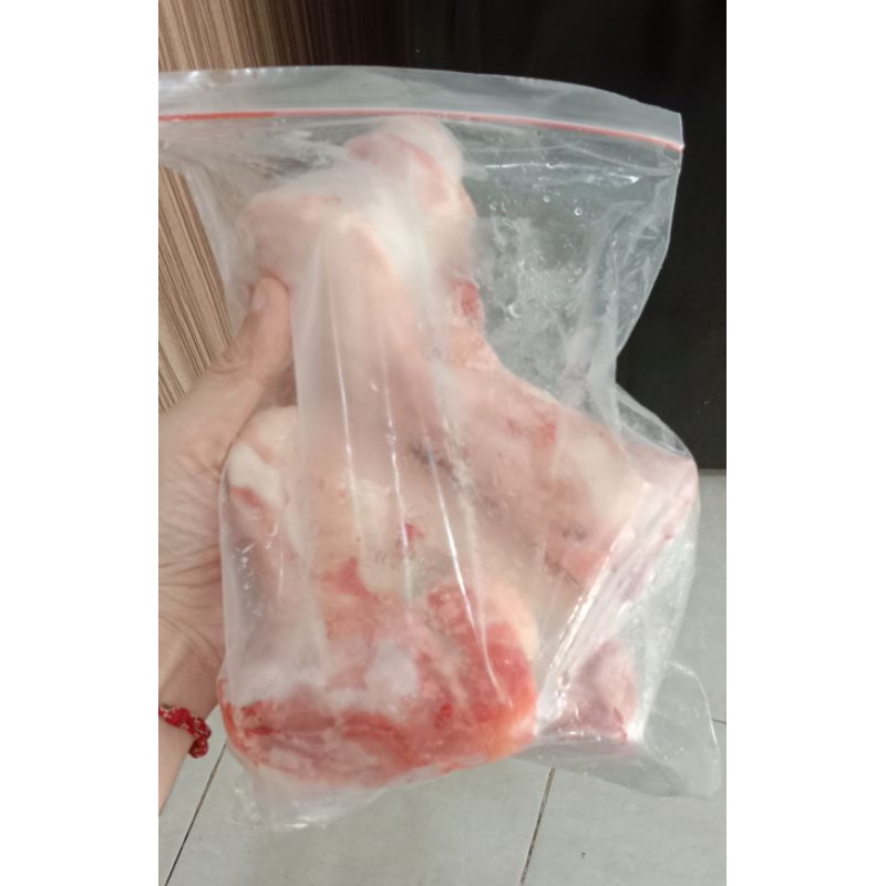 

Tulang Sumsum Sapi