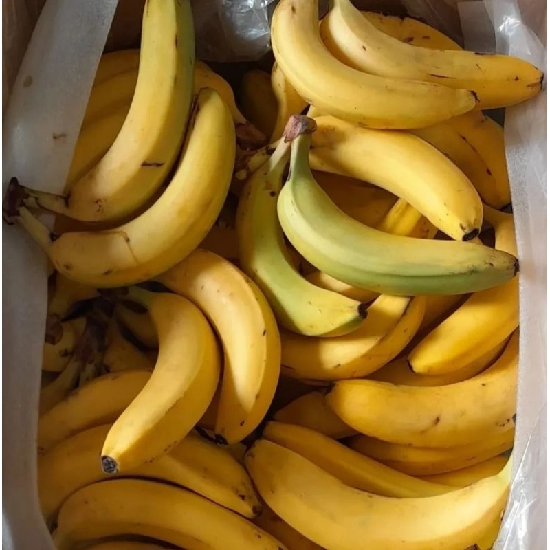 

Pisang Cavendish sunpride 1 kg Protolan