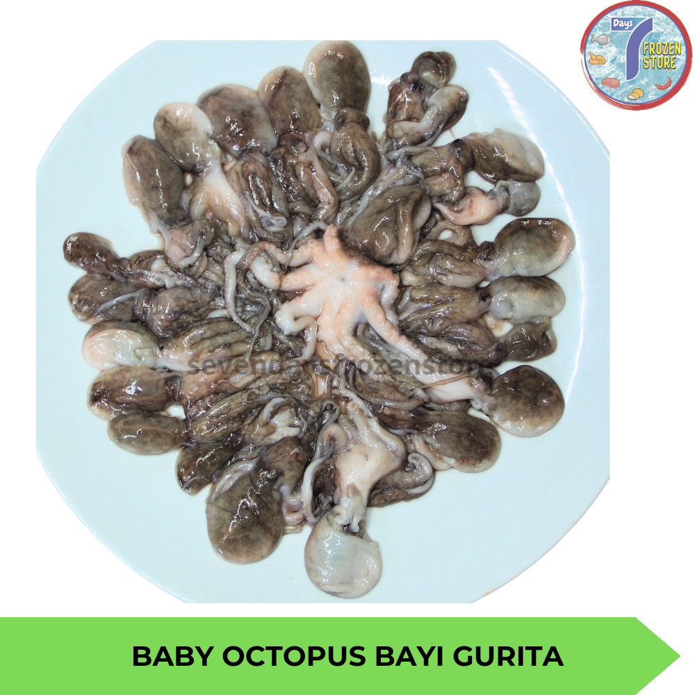 

Baby Octopus | Bayi Gurita Beku Frozen