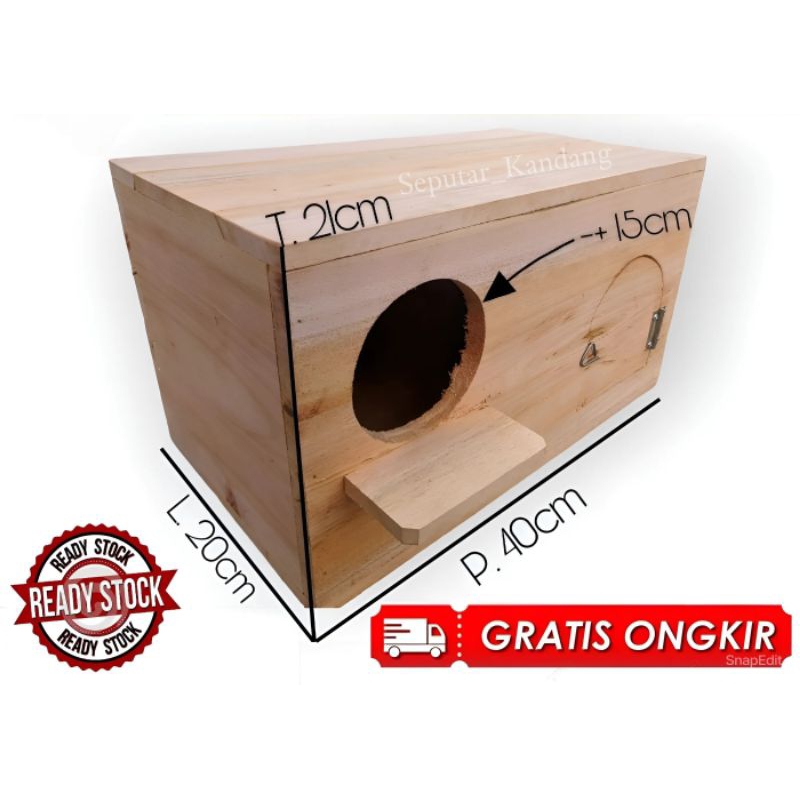 Glodok Burung Falk, jalak, Murai, Nuri