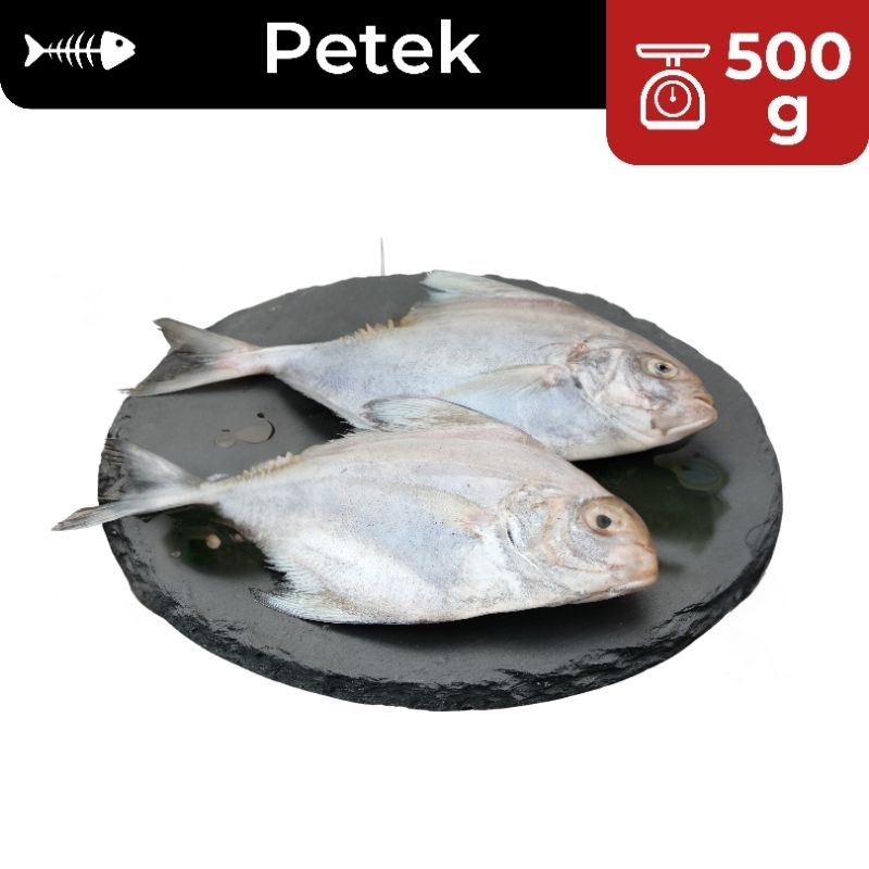 

500g Ikan Asin Petek SUPER / Ikan Asin Cotek / Ikan Asin Pepetek / Ikan Asin Peperek / Ikan Asin Murah / Ikan Asin Enak