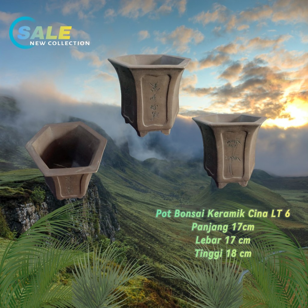 Pot Bonsai Keramik Cina LT 6