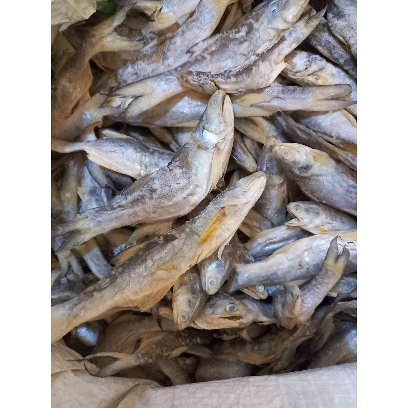 

ikan asin senangin kering isi 1 Kg