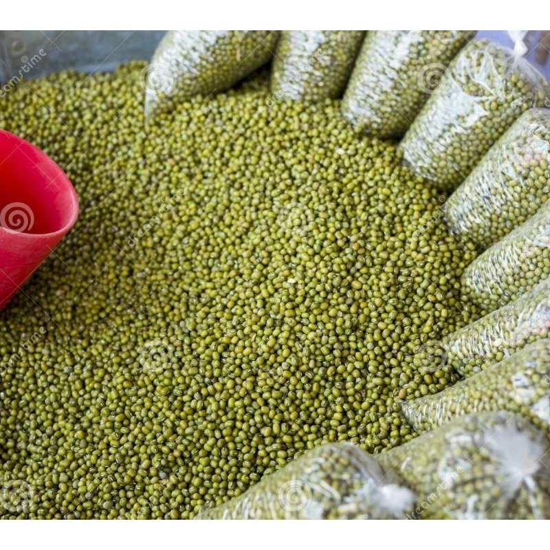 

kacang hijau kecil lokal