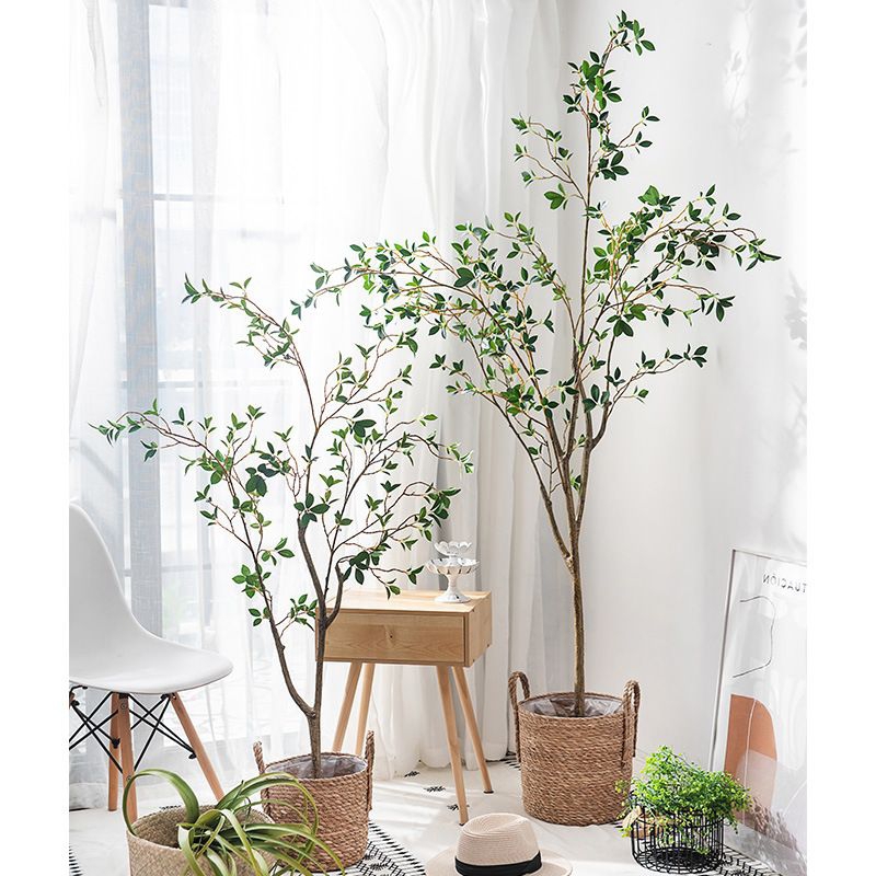 FICUS ARTIFICIAL PREMIUM /TANAMAN FICUS PREMIUM