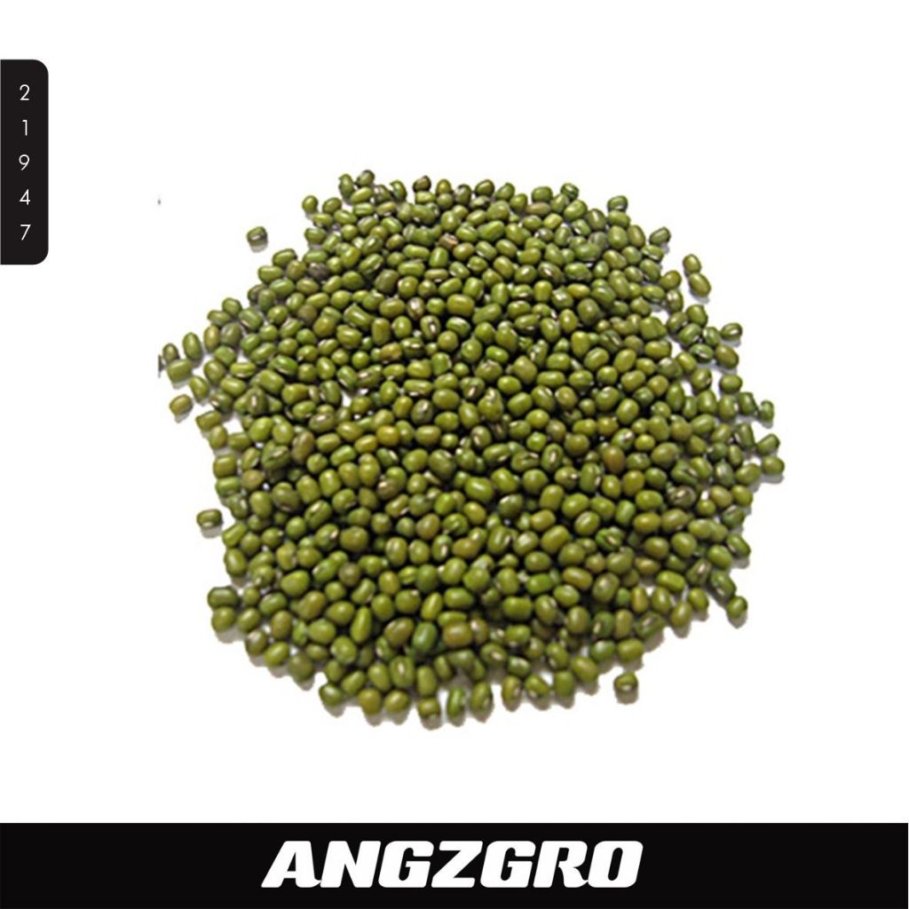 

Kacang Hijau 200 Gr SBY