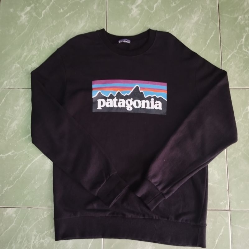 crewneck Patagonia