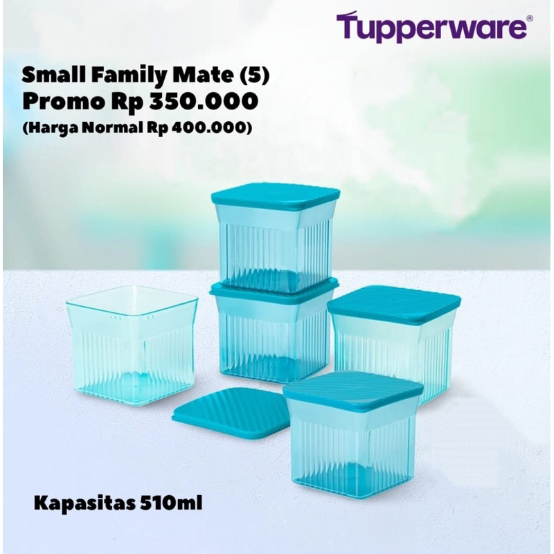 TUPPY FAMILY MATE SQUARE SMALL (5)