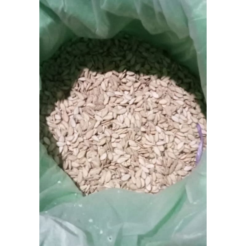 

Biji Waluh /Labu ORI Masih Mentah Kering 1 liter