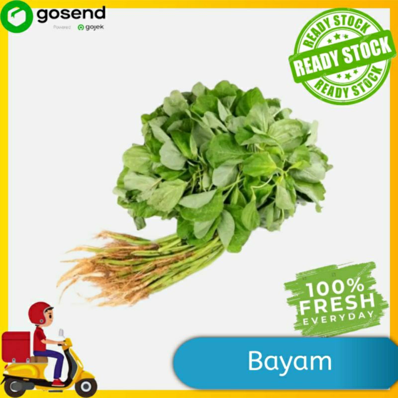 

Sayur Bayam - sayuran segar Online - Tukang Sayur Palembang