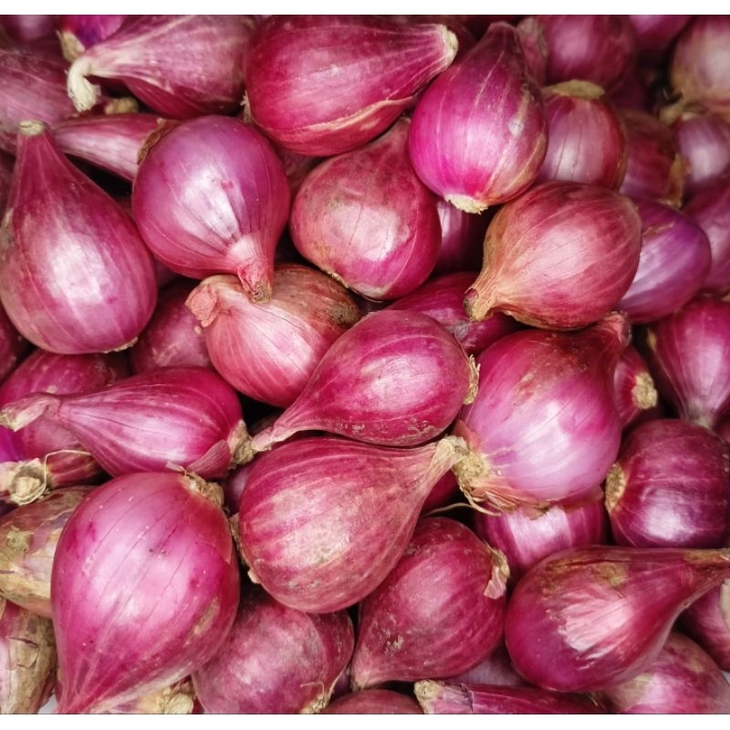 

1kg bawang merah Brebes ukuran besar super