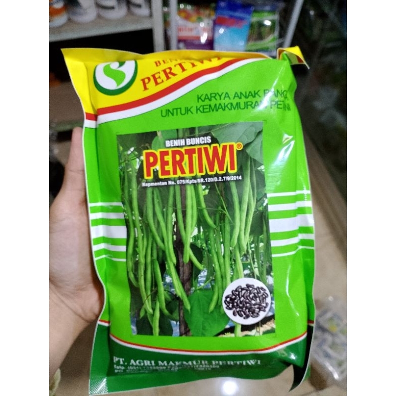 benih buncis pertiwi