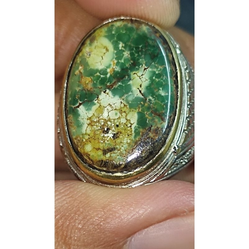 natural pirus persia hijau