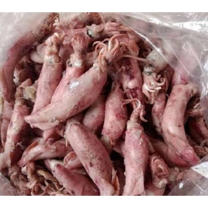 

asin cumi 100gr/1ons