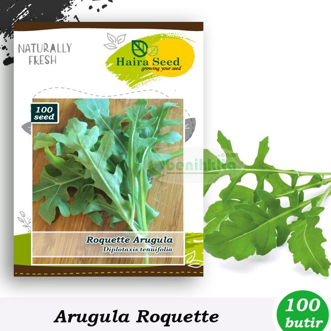 BenihBibit Arugula Roquette Haira Seed
