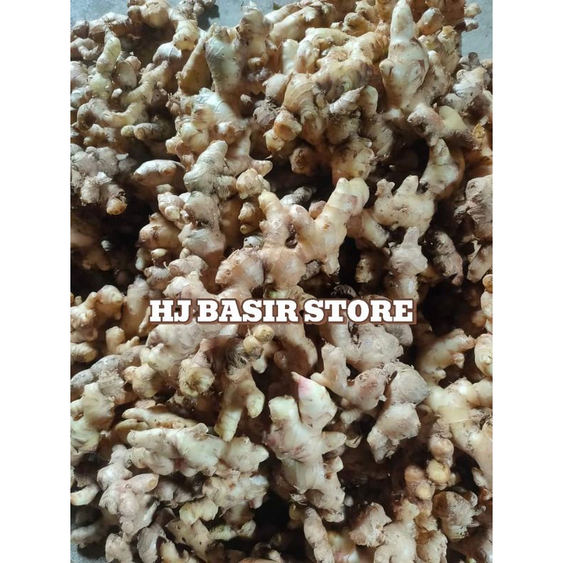 

jahe 500 gram/jahe emprit/jahe 1kg/jahe putih
