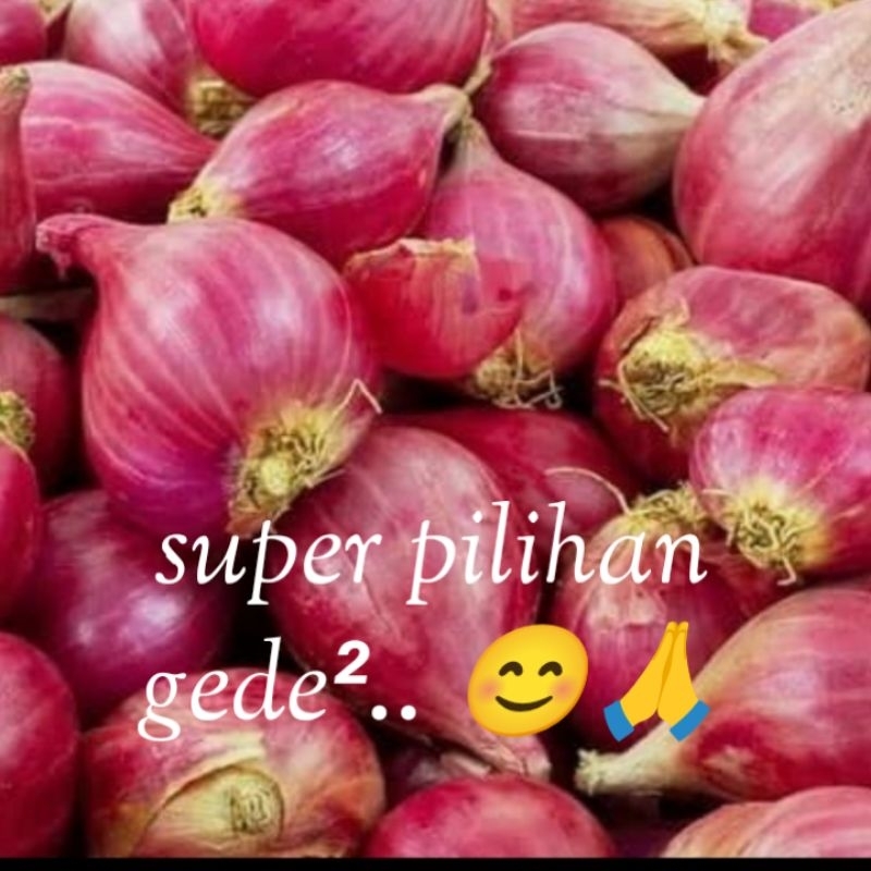

bawang merah brebes Super_ pilihan gede² 500 gram
