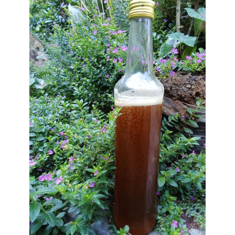

madu tawon gong asli Sumatra