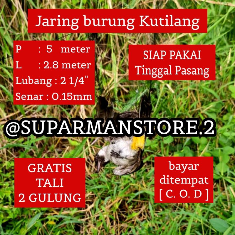 JARING BURUNG KUTILANG 5 METER JARING BURUNG KUTILANG 5X3 M JARING BURUNG KUTILANG SIAP PAKAI REKOME