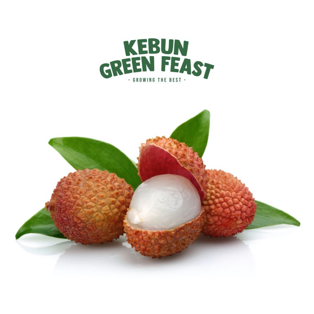 

Lychee Lomaiche - Buah Leci Segar - Premium Quality