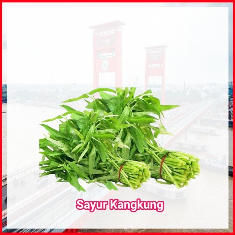 

sayur kangkung 1 ikat fresh - Ampera Palembang