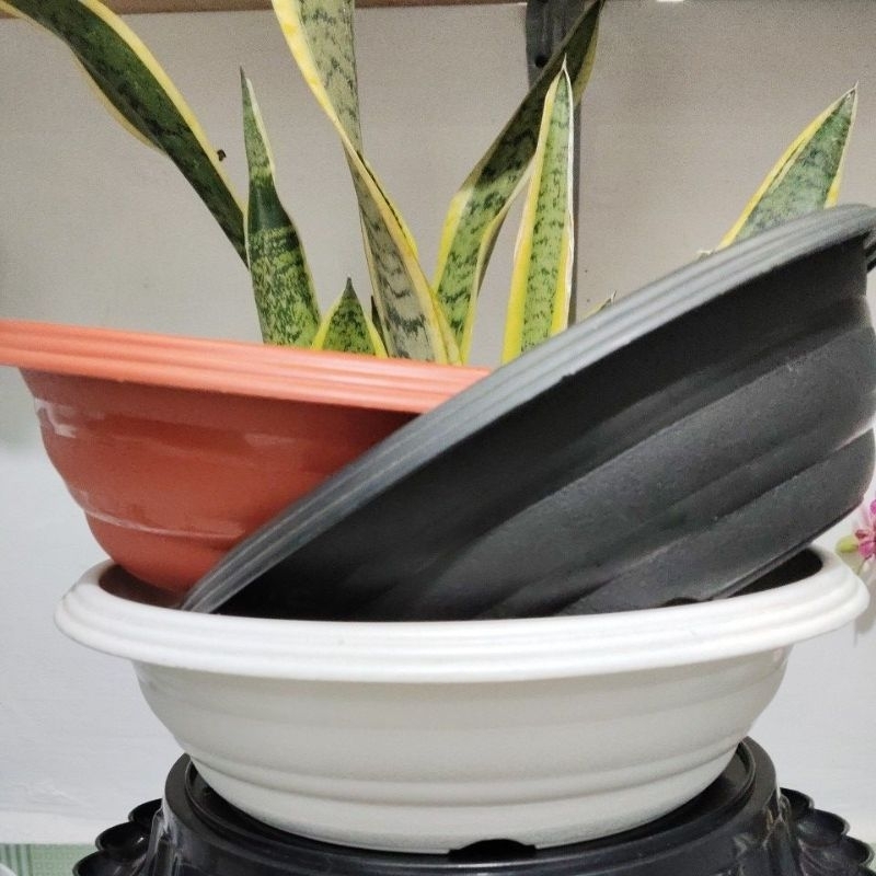 (1pcs) POT BONSAI 25 model pot bonsai ceper