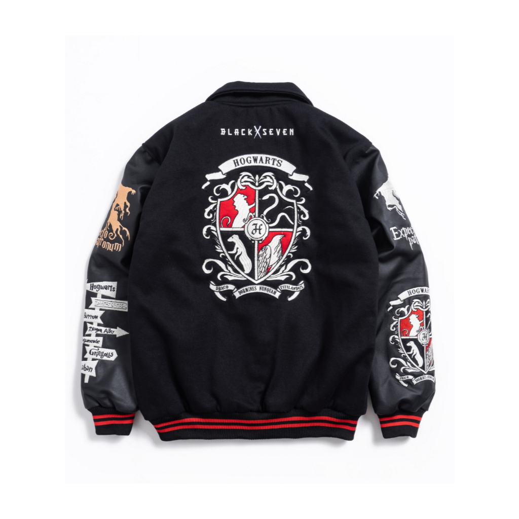 Varsity jacket | Hogwarts Legacy | DF studio
