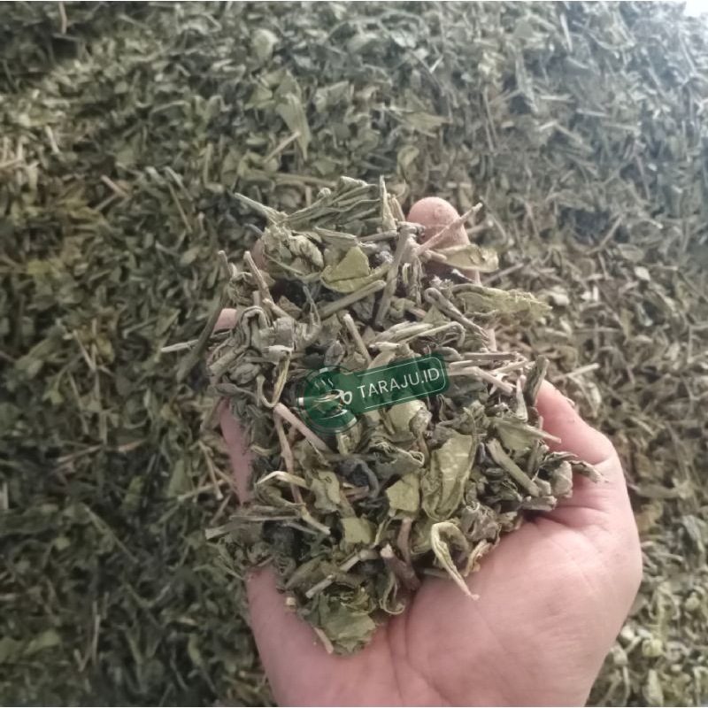 

Teh Hijau 1kg Teh Hijau Kiloan Teh Hijau Kering Green Tea Teh hijau Taraju