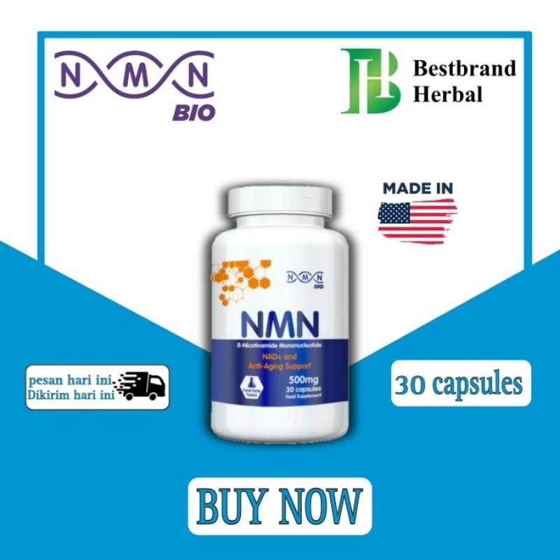 NMN BIO B - Nicotinamide Mononucleotide 500mg Anti Aging-NAD+