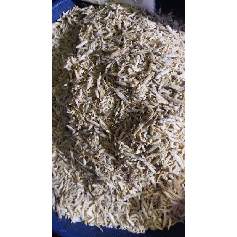 

ikan teri senangin