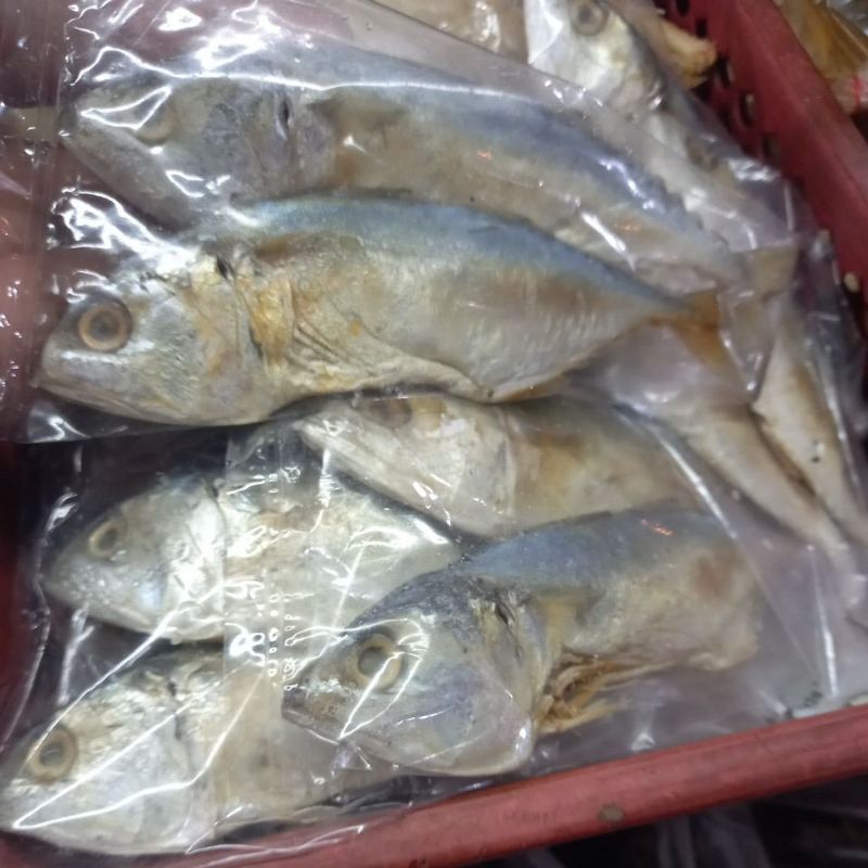 

ikan peda kecil - 1pcs