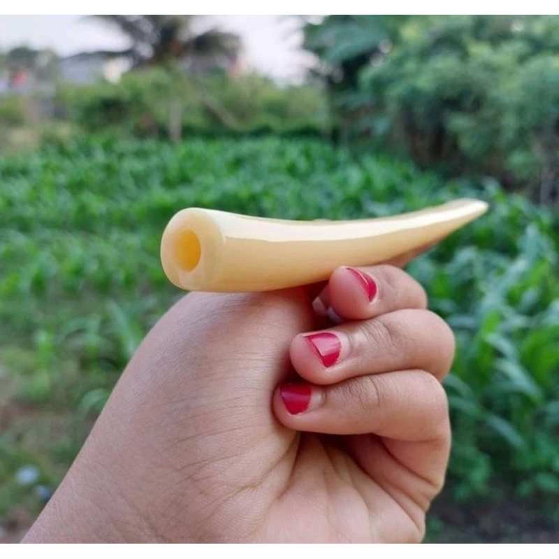 PIPA TULANG SAPI IMPOR BULAT TEBAL SEPERTI IGDUY