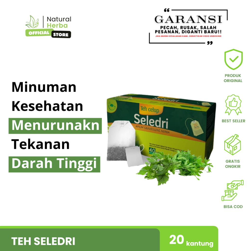 

Minuman Kesehatan Menurunkan Tekanan Darah Tinggi Teh Herbal Seledri