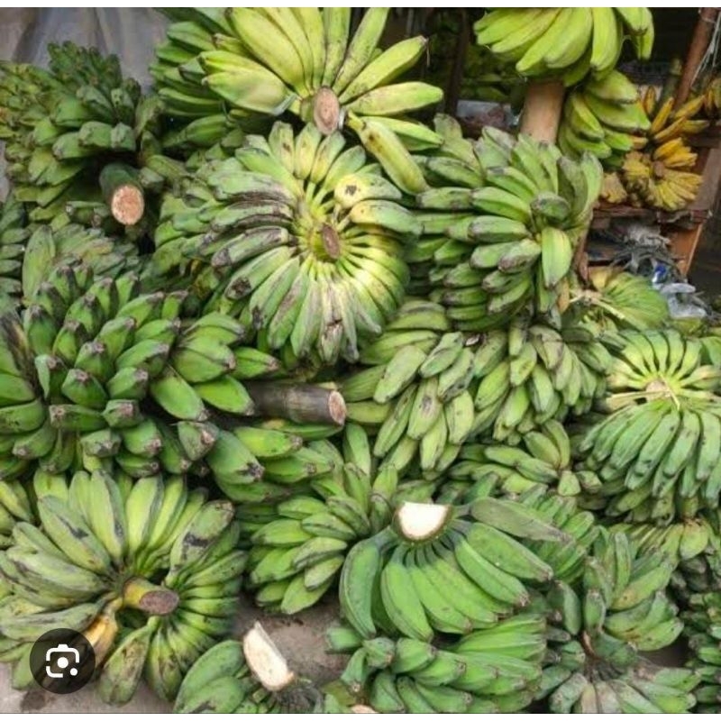 

Buah Pisang Kepok Kuning Super 1 Sisir Premium Pakan Burung Makanan Ringan