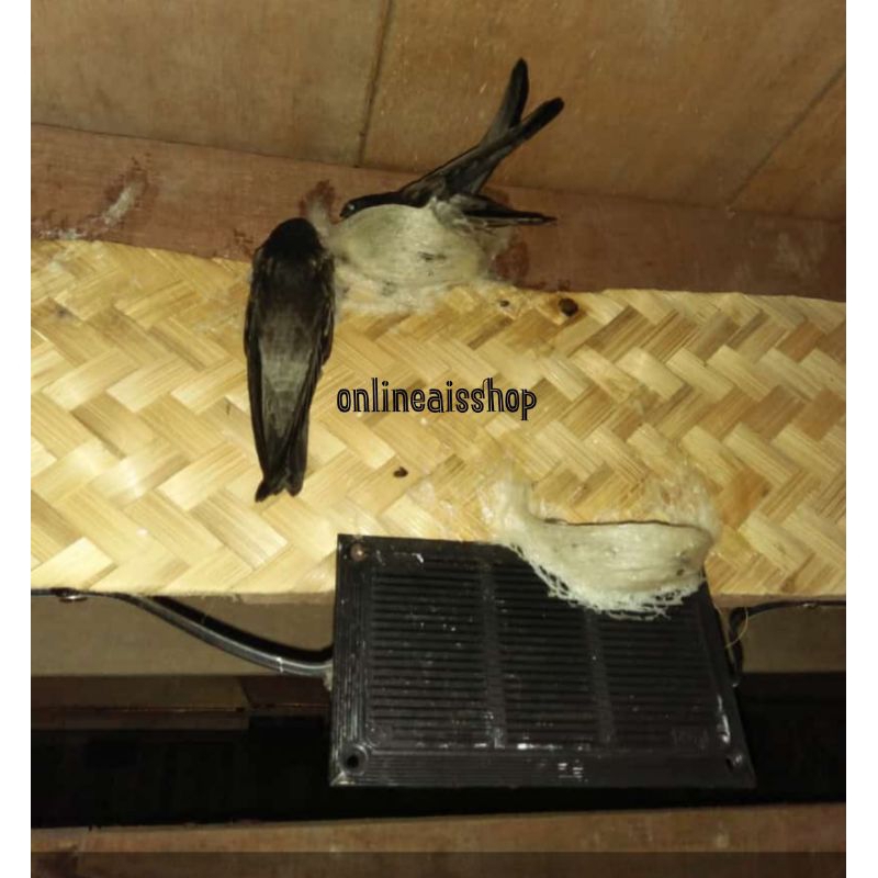 HARGA BESEK PELAPIS SIRIP WALET 15x100,HARGA BESEK SARANG WALET MURAH,BESEK TIKAR WALET