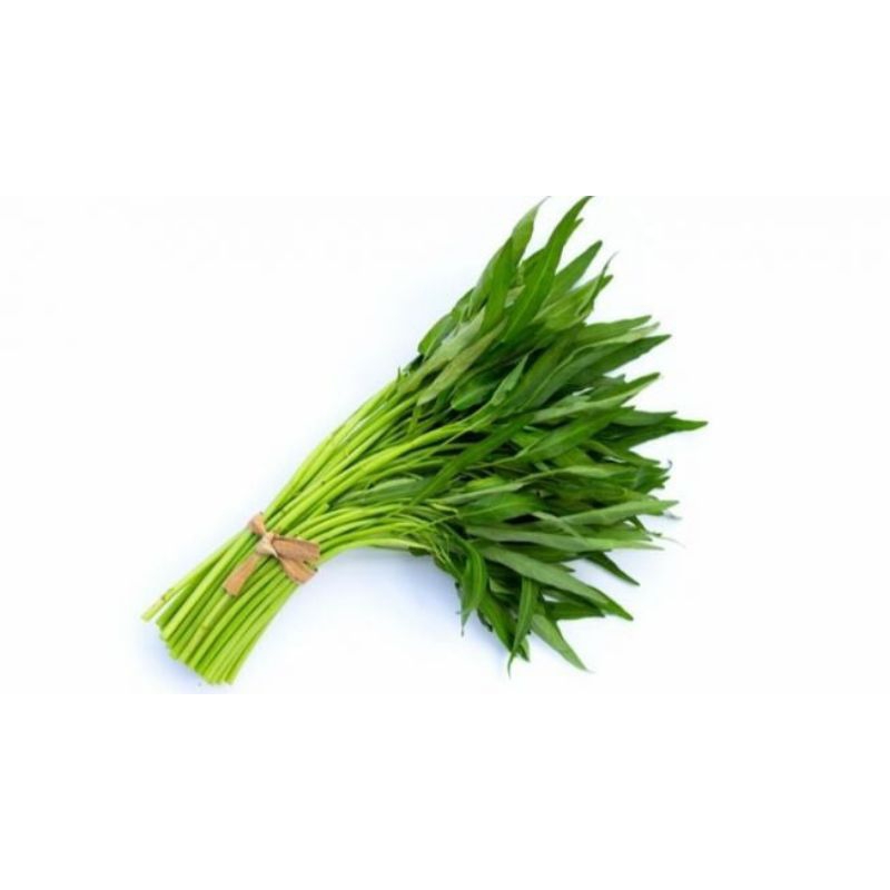 

Kangkung segar perikat