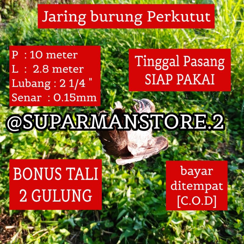 JARING BURUNG PERKUTUT 10 METER JARING BURUNG PERKUTUT 10X3M JEBAKAN BURUNG PERKUTUT PERANGKAP BURUN