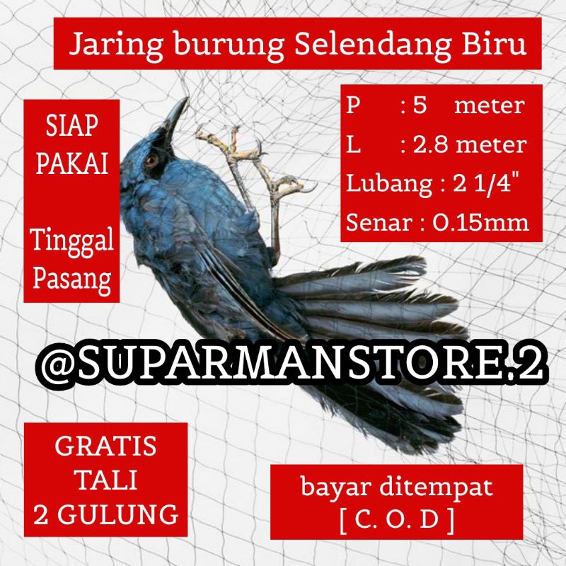 JALA BURUNG SELENDANG BIRU 5 METER JARING BURUNG SIAP PAKAI JARING 5X3M JARING BURUNG 5 METER JEBAKA