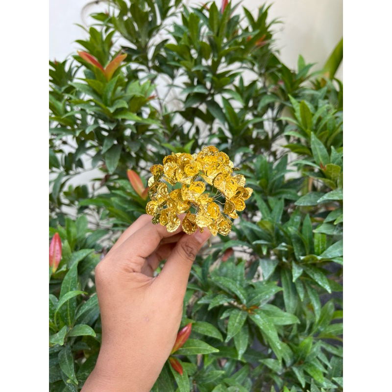 cucuk palm / cucuk asoka / semanggi emas