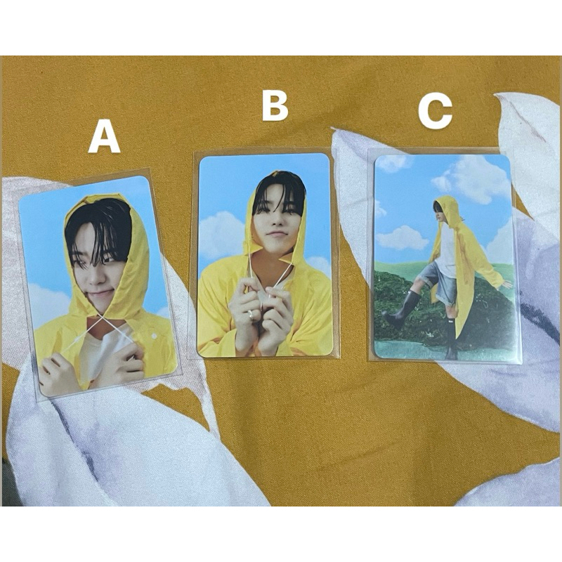 PC official carver hoshi Seventeen Heaven