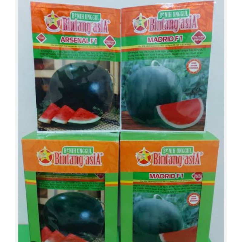 bibit semangka non biji madrid 20 gram bintang asia